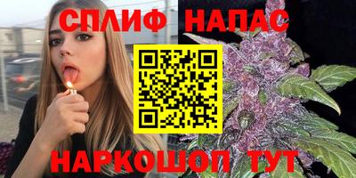 ECSTASY Славгород
